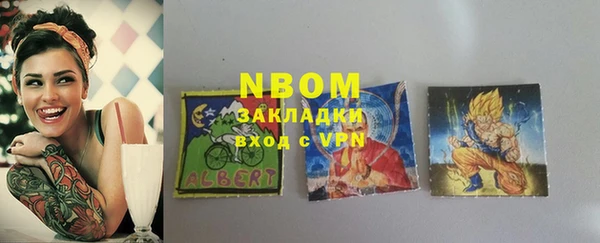 стаф Алзамай