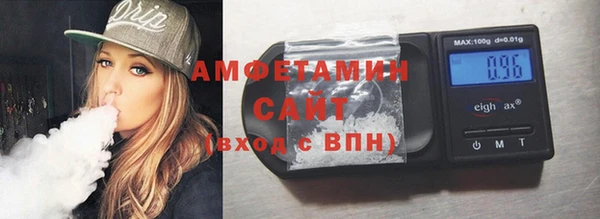 стаф Алзамай