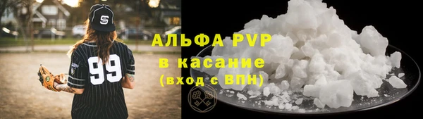стаф Алзамай