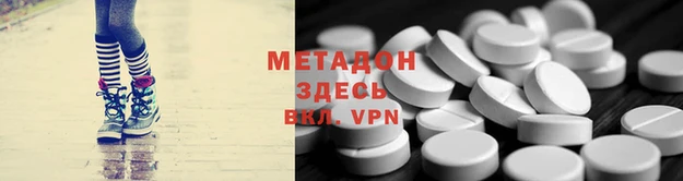 стаф Алзамай