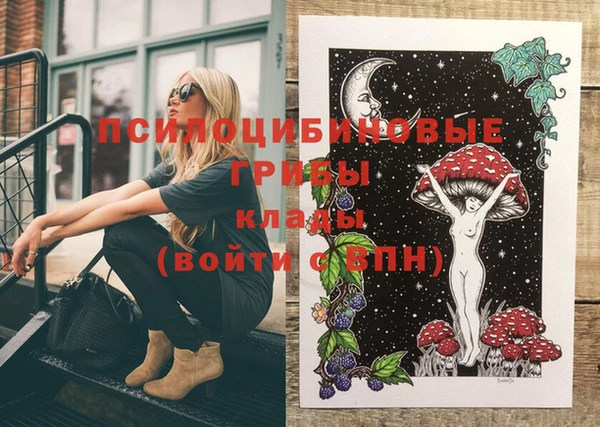 кокаин колумбия Алексин
