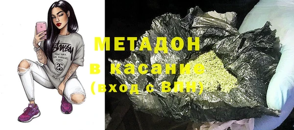 стаф Алзамай
