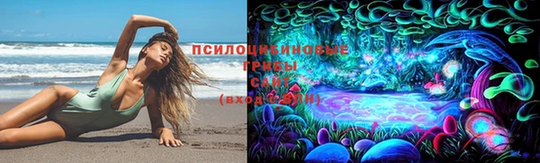 спиды Алексеевка