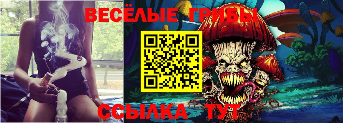 Псилоцибиновые грибы Magic Shrooms Апрелевка